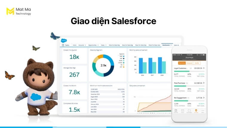Giao diện Salesforce