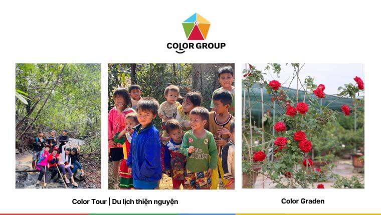 Giới thiệu về công ty Color Group