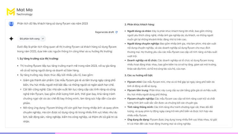 Phân tích dữ liệu khách hàng được gợi ý từ Gemini