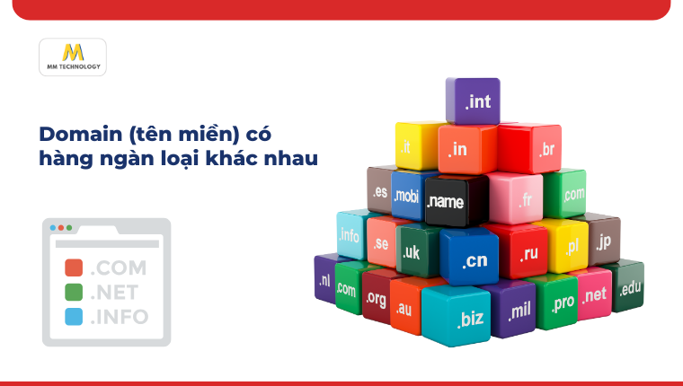 phân loại domain là gì