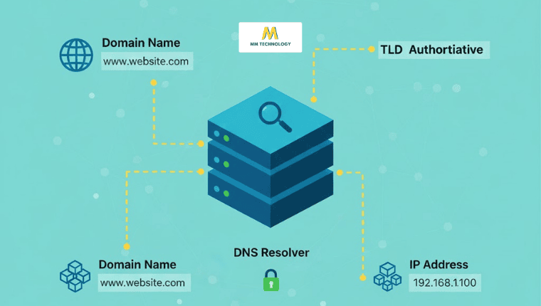 DNS (Domain Name System)