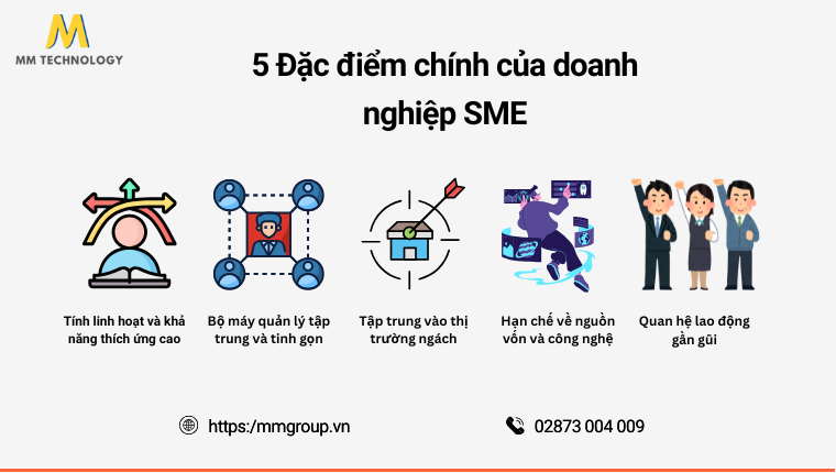 Đặc điểm chính của doanh nghiệp SME