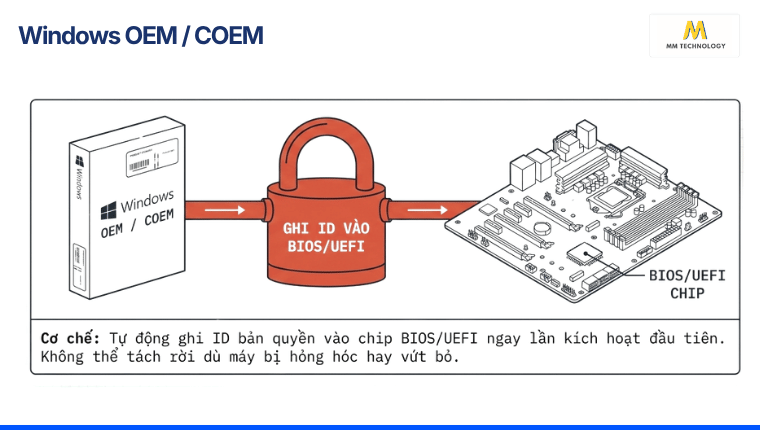 Cơ chế hoạt động của Windows OEM
