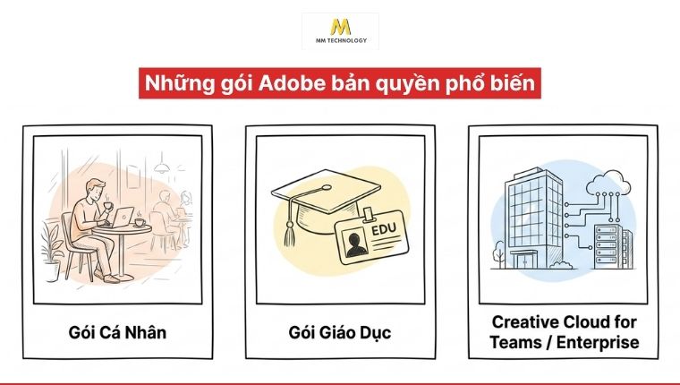 Những gói Adobe bản quyền phổ biến