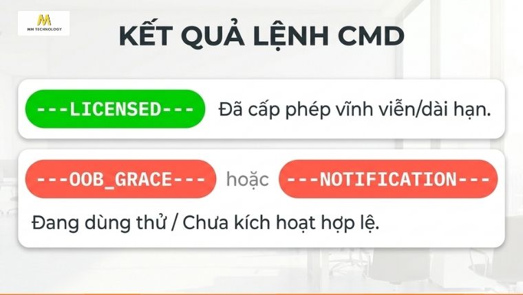 Cách đọc kết quả CMD