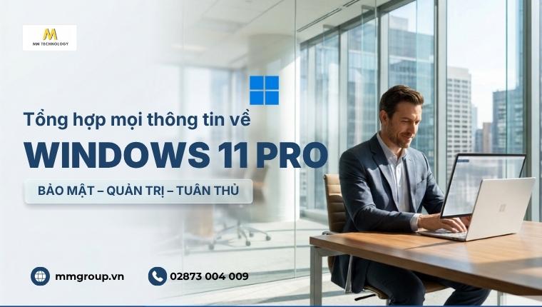 Windows 11 Pro
