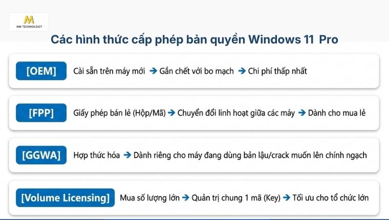 Hình thức cấp bản quyền Windows 11