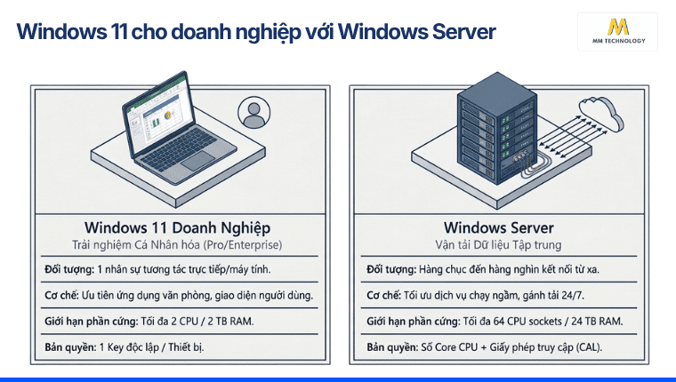Windows 11 với Windows Server
