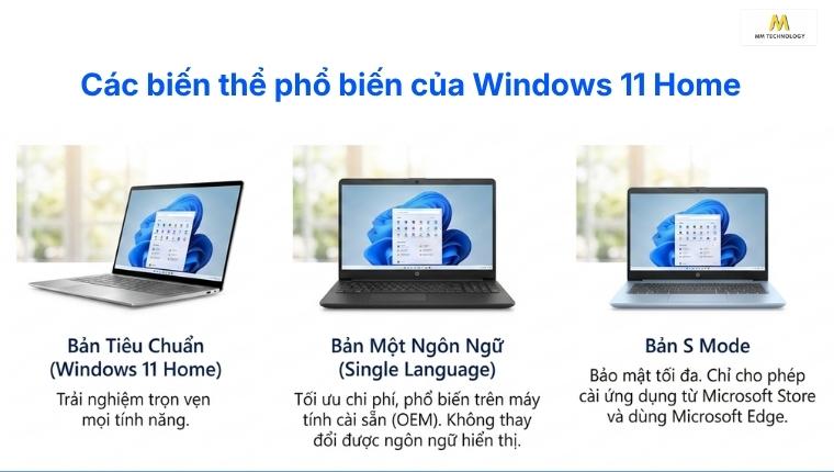 Các biến thể Windows Home