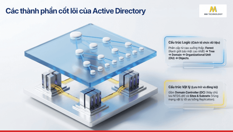 Thành phần cốt lõi của Active Directory là gì